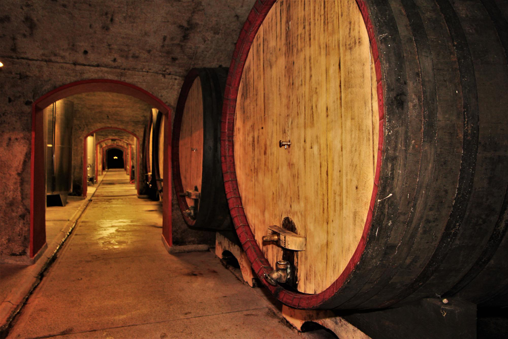 Saumur Champigny Saumur Champigny